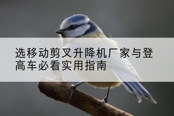 枣阳电动升降机厂家-选移动剪叉升降机厂家与登高车必看实用指南