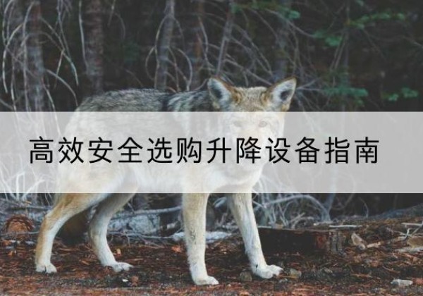 枣阳升降货梯厂家推荐-*安全选购升降设备指南