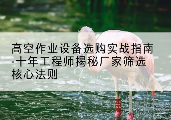 枣阳剪叉式升降机厂家-高空作业设备选购实战指南-十年工程师揭秘厂家筛选核心法则